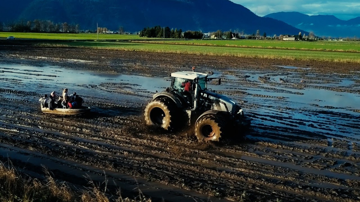 Mud Festival - Lételemük a sár