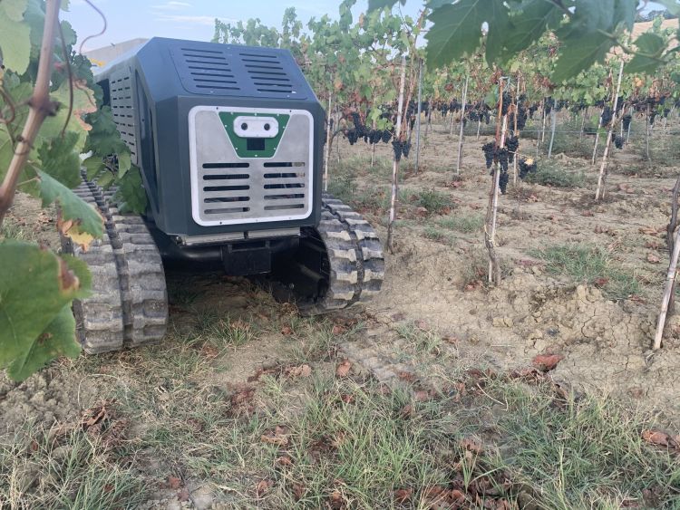 Dood lánctalpas traktor