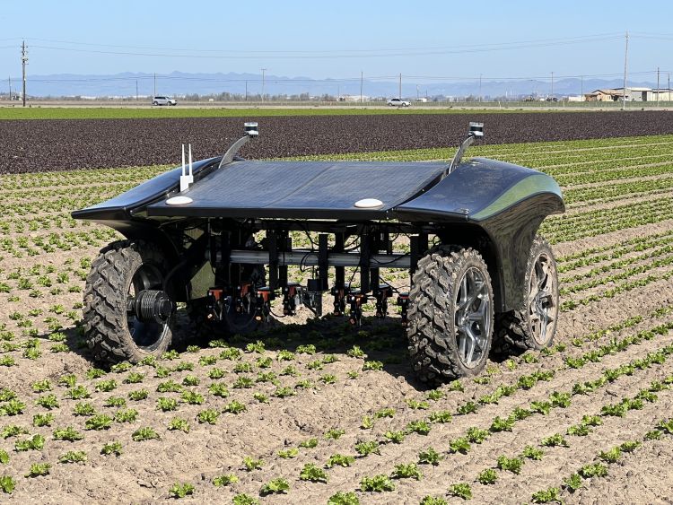 WeedSpider robot