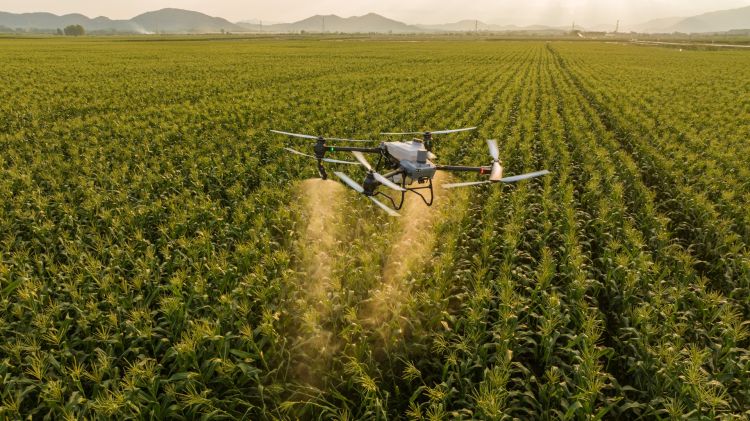 Jacto DJI drón