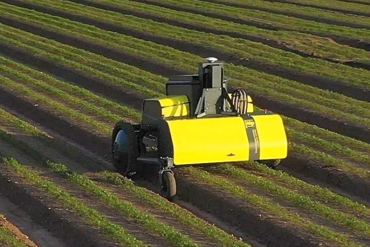 Kilter AX‑1: autonóm robot a célzott gyomirtásban