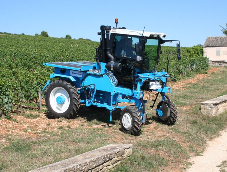 Bobard 1084