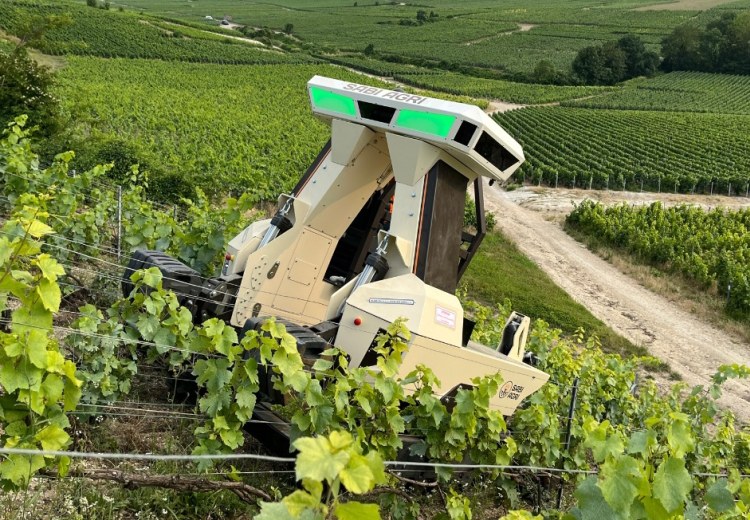 Zilus – talajkímélő elektromos robot a modern szőlészetek számára