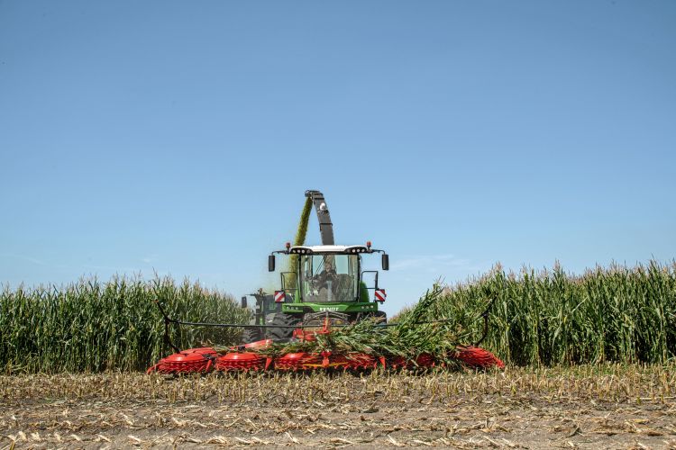 Fendt Katana silózó