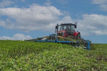 Actisol Roll Krop késeshenger