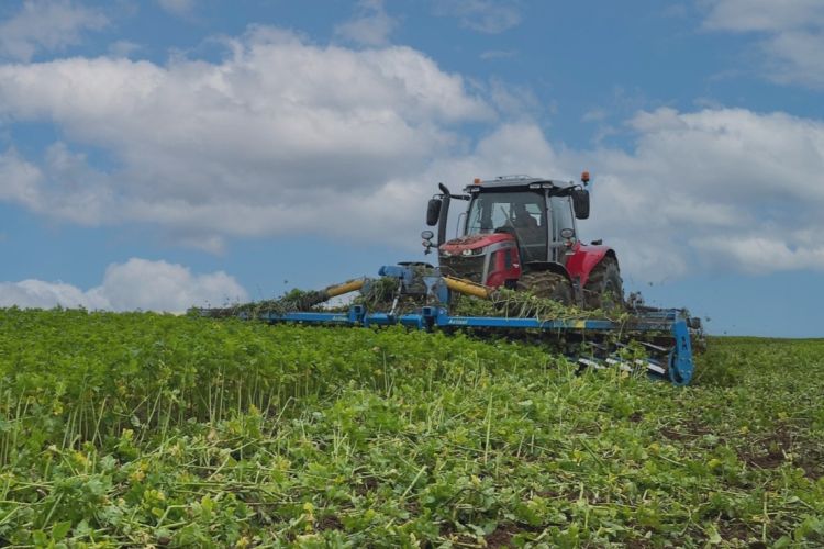 Actisol Roll Krop – fedőnövények mechanikus kezelése