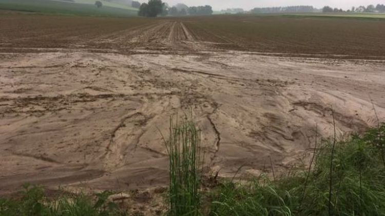 Túlművelt talaj tavasszal