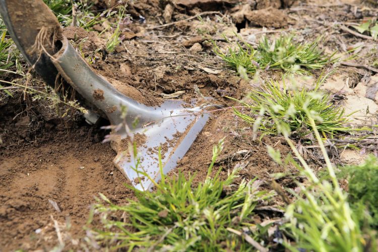 A Finer a lúdtalpkapával teljes átfedésben dolgozik