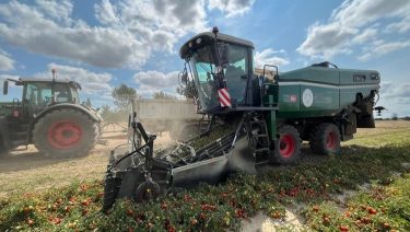 MTS THR 650S önjáró paradicsombetakarító