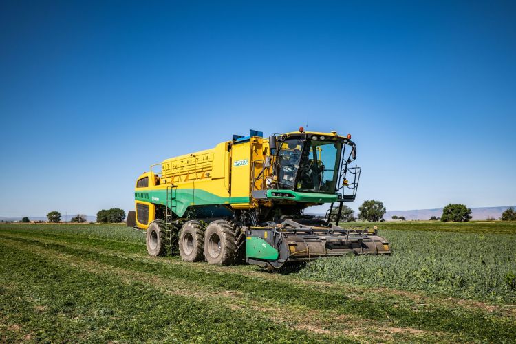 Oxbo GP6300 – megérkezett a generációváltás