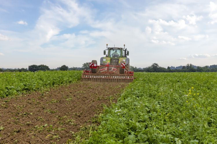 Tiger 4 AS – őszi alapművelés – takarónövény bedolgozás