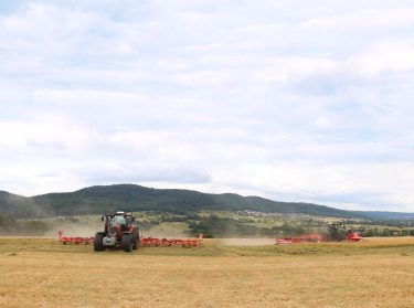 kaszálás és rendterítés