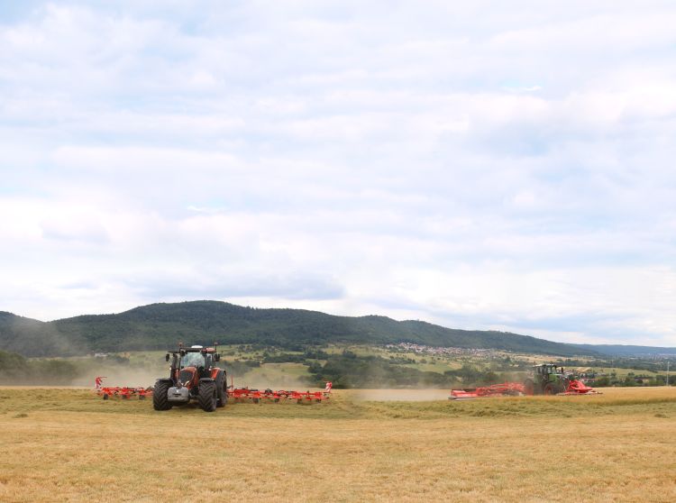 kaszálás és rendterítés