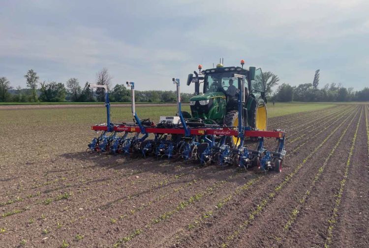 A Photoheyler kultivátorral megoldódnak az iránytartási problémák