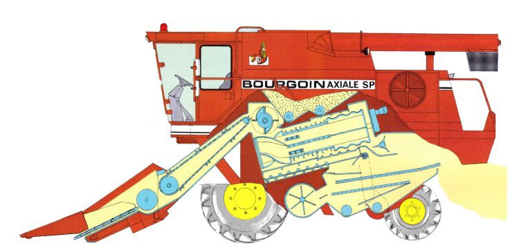 Bourgoin Axiale hosszmetszet