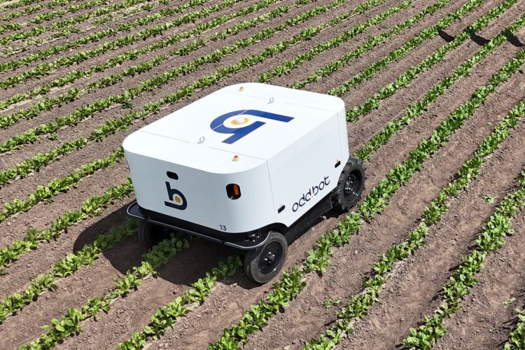 Maverick gyomirtó robot: egyre több gazdaságban dolgozik